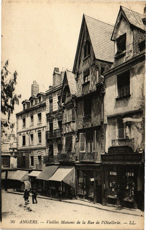 Carte postale ancienne Angers-VIEILles Maisons de la Rue de l'Oisellerie à Angers