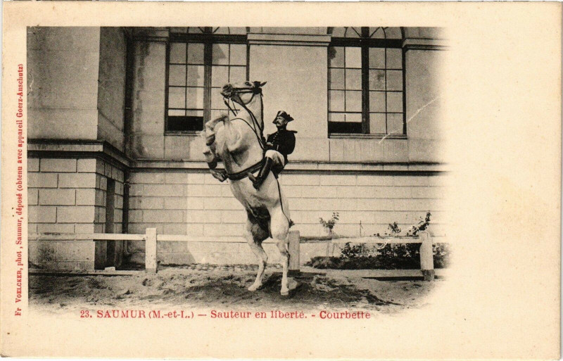 Carte postale ancienne Saumur - Sauteur en liberte - Courbette à Saumur