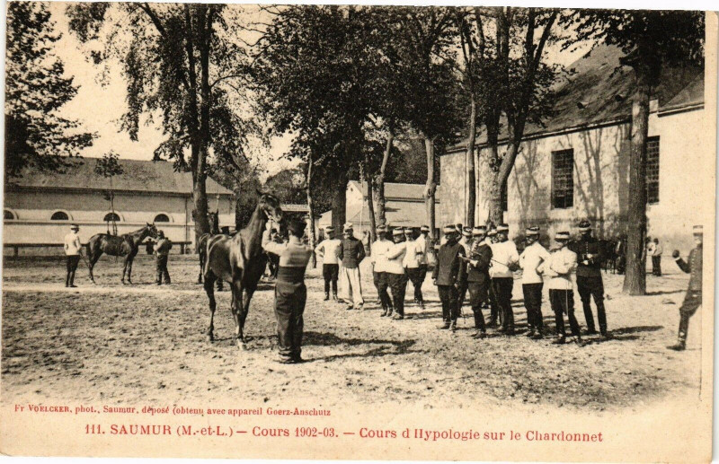 Carte postale ancienne Saumur - Cours 1902-03 - Cours d'Hypologie sur le Chardonn à Saumur