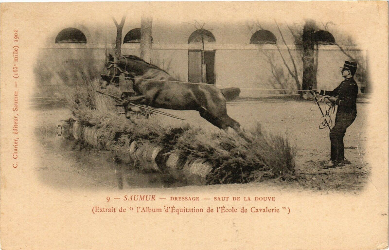 Carte postale ancienne Saumur - Dressage - Saut de la Douve à Saumur