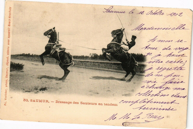 Carte postale ancienne Saumur - Dressage des Sauteurs en tendem à Saumur