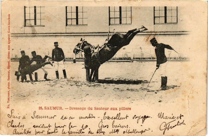 Carte postale ancienne Saumur - Dressage du Sauteur aux pillers à Saumur