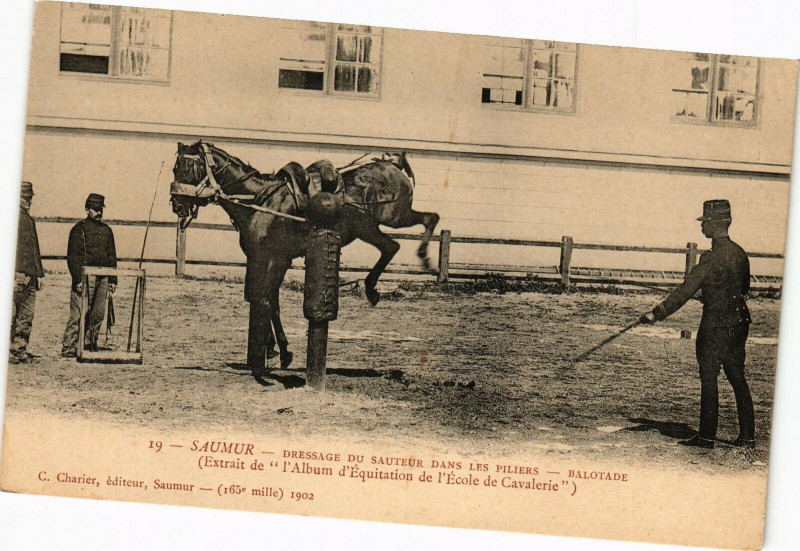 Carte postale ancienne Saumur - Dressage du Sauteur dans les Piliers à Saumur