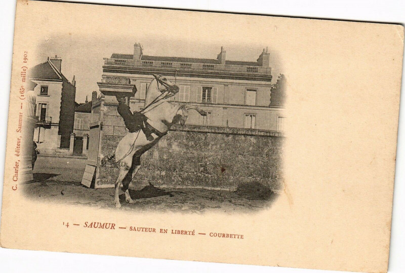 Carte postale ancienne Saumur - Sauteur en liberte - Courbette à Saumur