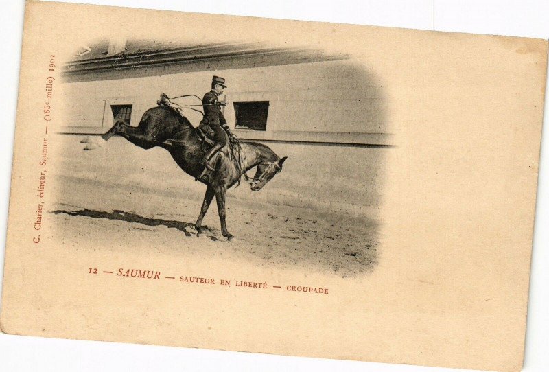Carte postale ancienne Saumur - Sauteur en Liberte - Croupade à Saumur