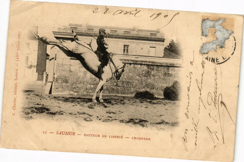 Carte postale ancienne Saumur - Sauteur en liberte - Croupade (28 Avril 1909) à Saumur