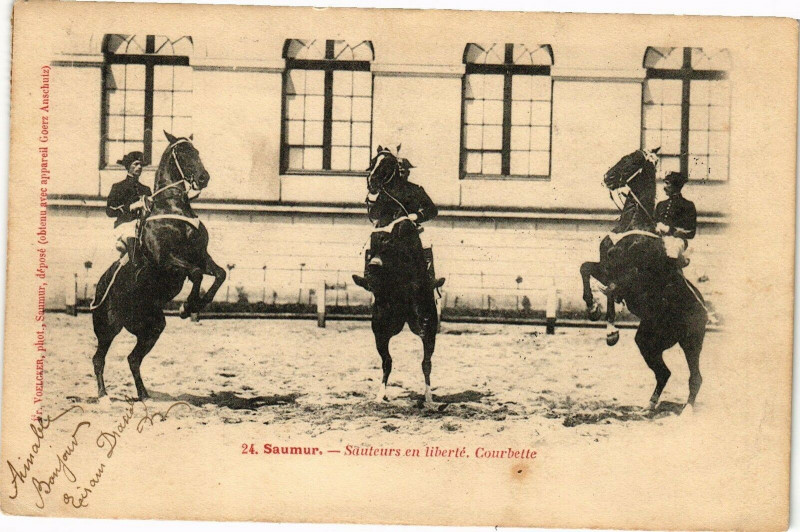Carte postale ancienne Saumur - Sauteurs en liberte Courbette à Saumur