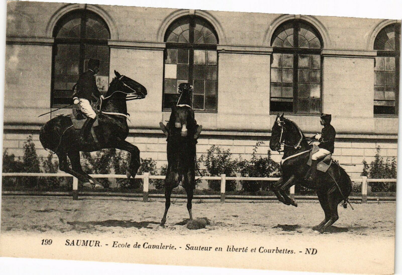 Carte postale ancienne Saumur - Ecole de Cavalerie - Sauteur en liberte et Courbettes à Saumur