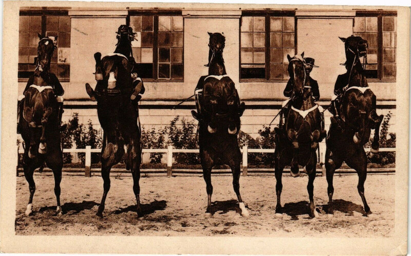 Carte postale ancienne Saumur - Ecole de Cavalerie Courbettes à Saumur