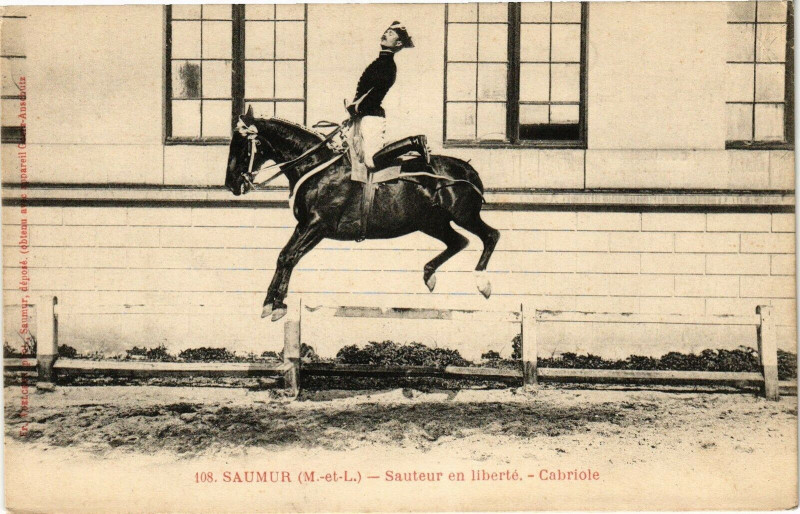 Carte postale ancienne Saumur - Sauteur en liberte - Cabriole à Saumur