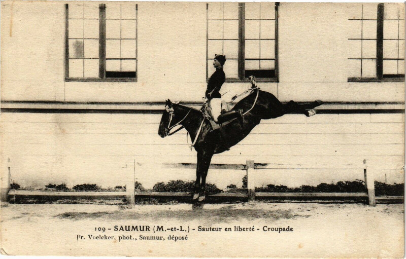 Carte postale ancienne Saumur - Santeur en liberte - Croupade à Saumur