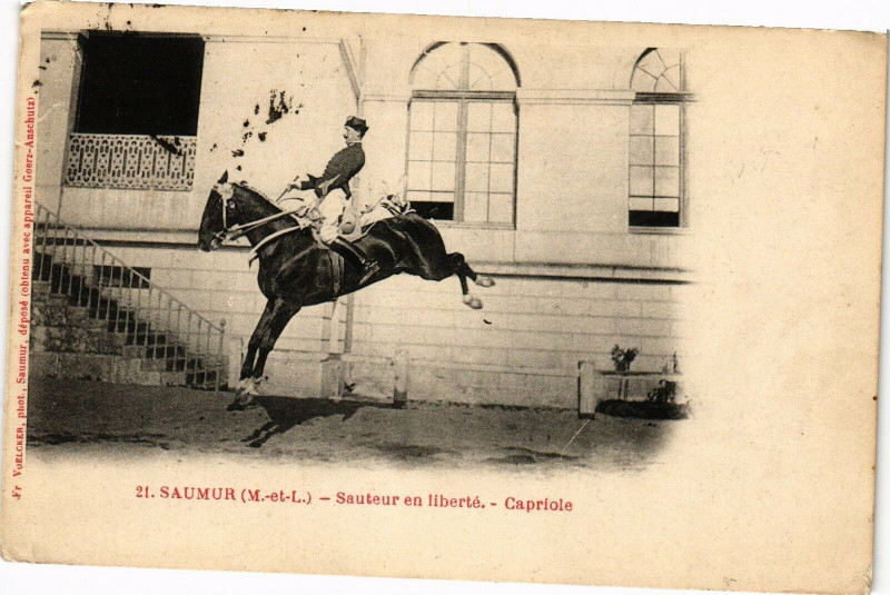 Carte postale ancienne Saumur - Sauteur en liberte - Capriole à Saumur