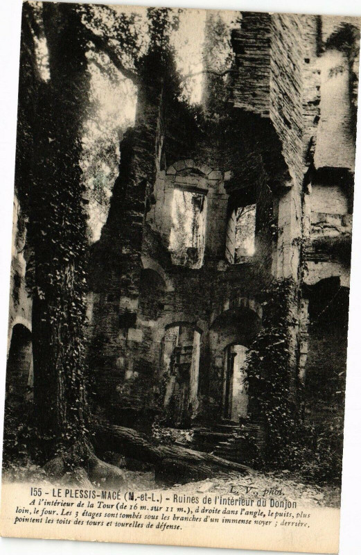 Carte postale ancienne Le Plessis-Mace - Ruines de l'interieur du Donjon