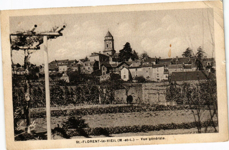 Carte postale ancienne Saint-Florent-le-Vieil - Vue générale