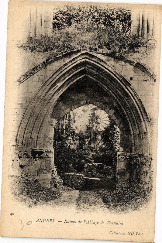 Carte postale ancienne Angers - Ruines de l'Abbye de TousSt à Angers