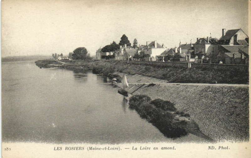 Carte postale ancienne Les Boisiers (aine - et-Loire) - La Loire en amont à Loiré