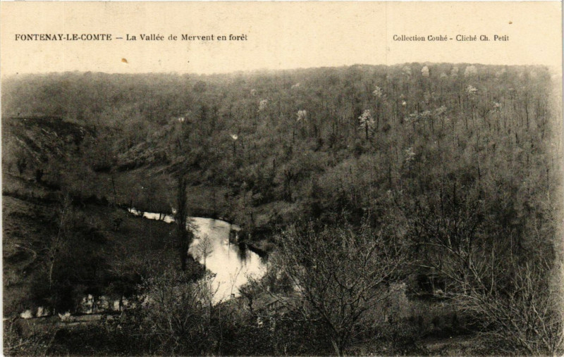 Carte postale ancienne Fontenay-le-Comte - La Vallée de Mervent en Foret à Fontenay-le-Comte