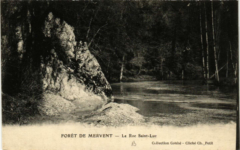 Carte postale ancienne Foret de Mervent - Le Roc Saint-Luc à Mervent