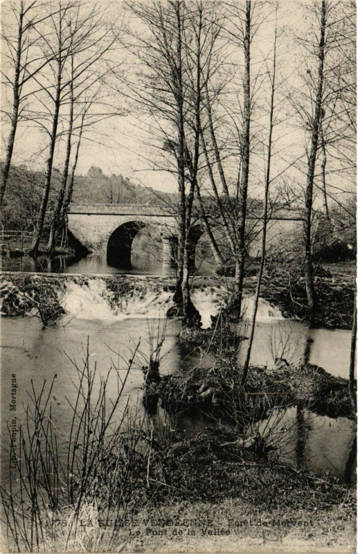 Carte postale ancienne Foret de Mervent - Le Pont de la Vallée à Mervent