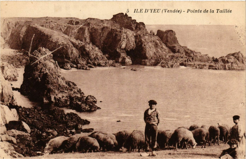 Carte postale ancienne Ile-d'Yeu - Pointe de la Taillée à La Taillée
