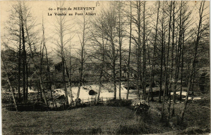 Carte postale ancienne Foret de Mervent - La Vendée au Pont Albert à Mervent