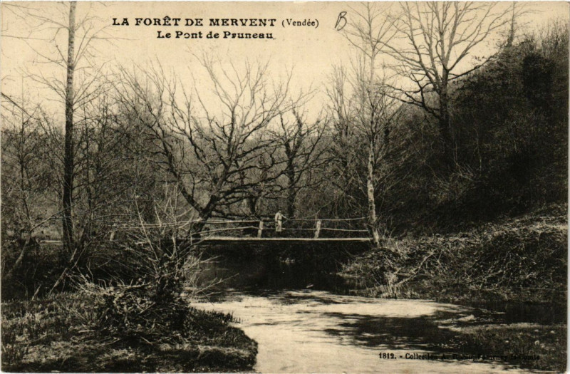 Carte postale ancienne La Foret de Mervent - Le Pont de Pruneau à Mervent