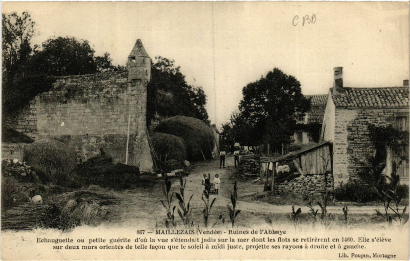 Carte postale ancienne Maillezais - Ruines de l'Abbaye à Maillezais