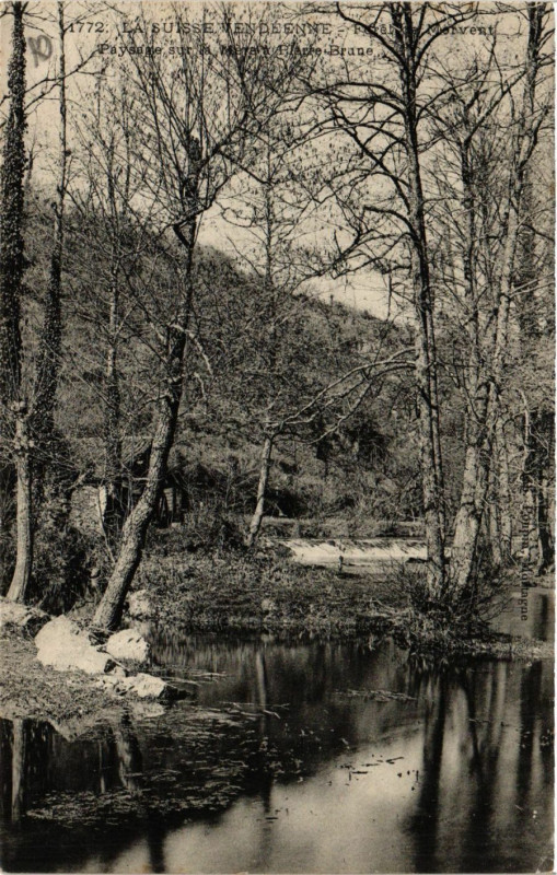 Carte postale ancienne Foret de Mervent à Mervent