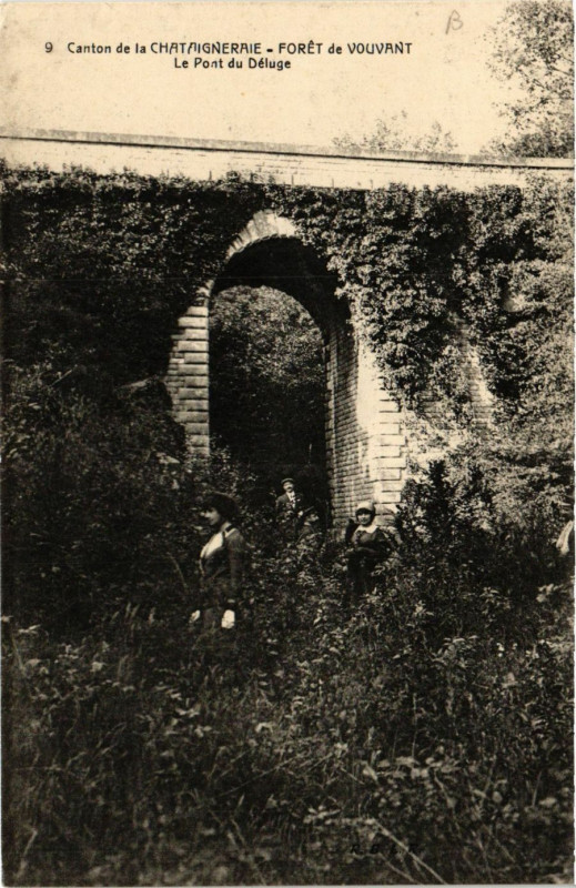 Carte postale ancienne Canton de La Chataigneraie - Foret de Vouvant - Le Pont du Déluge à Vouvant