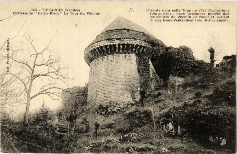 Carte postale ancienne Tiffauges - Chateau de Barbe-Bleue - La Tour du Vidame à Tiffauges