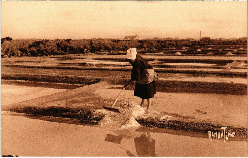 Carte postale ancienne Un Marais salant aux Sables-d'Olonne