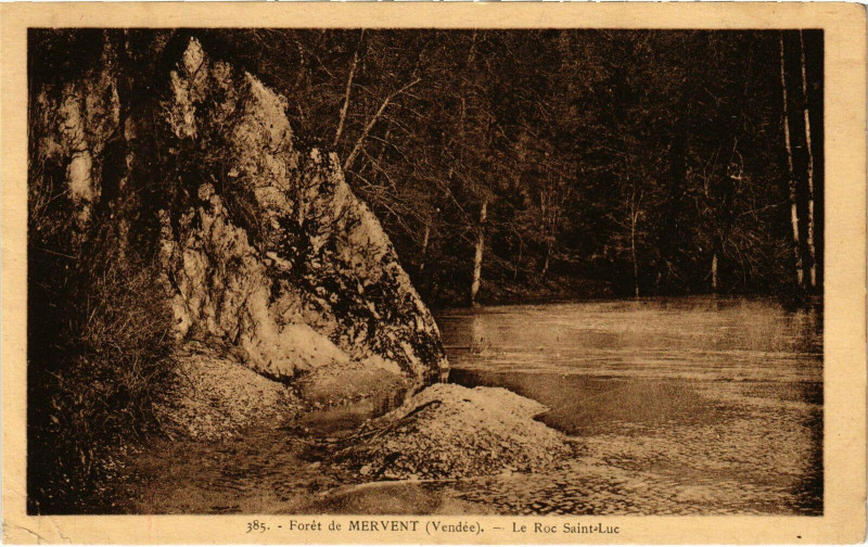 Carte postale ancienne Foret de Mervent - Le Roc Saint-Luc à Mervent