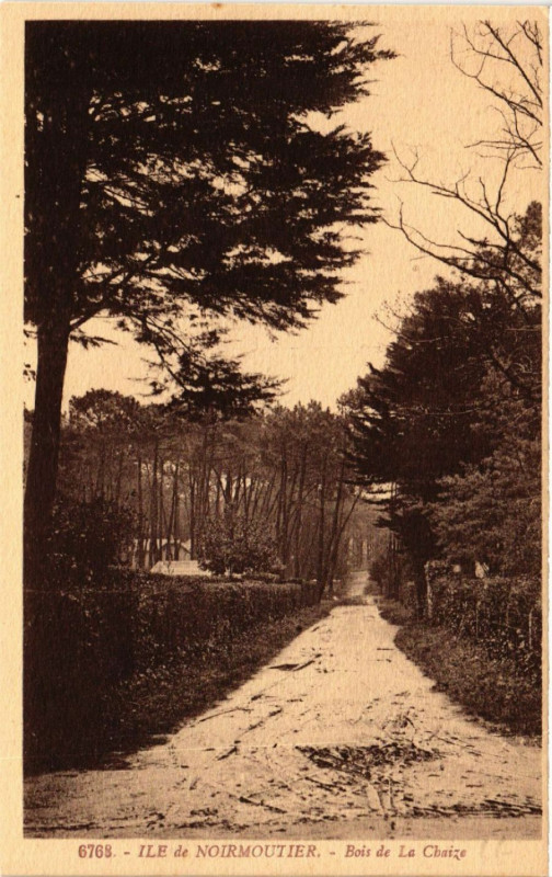 Carte postale ancienne Ile-de-Noirmoutier Bois de La Chaize