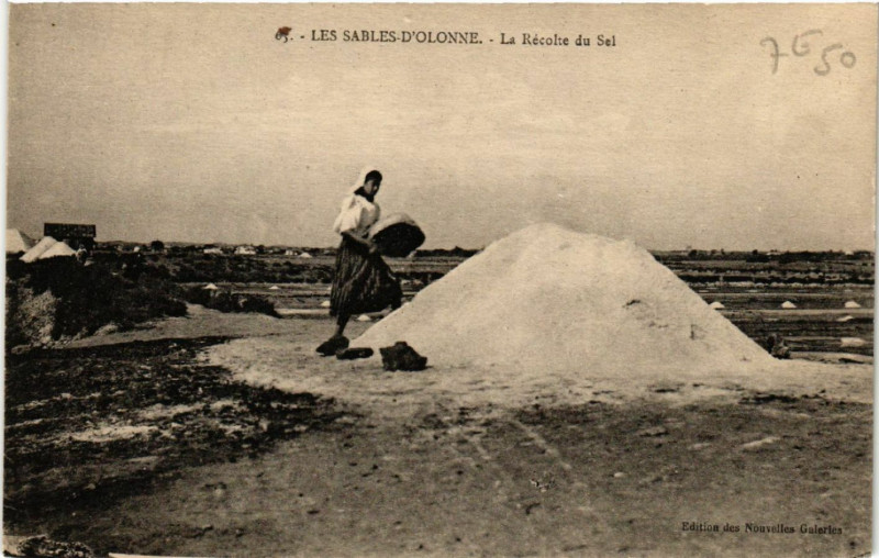 Carte postale ancienne Les Sables d'Olonne La Recolte du Sel aux Sables-d'Olonne