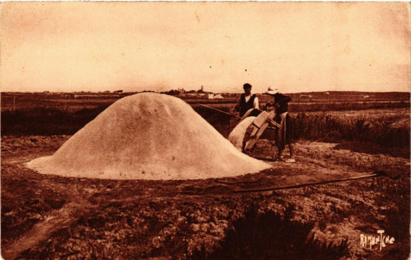 Carte postale ancienne L'Ile-de-Noirmoutier Marais Salants
