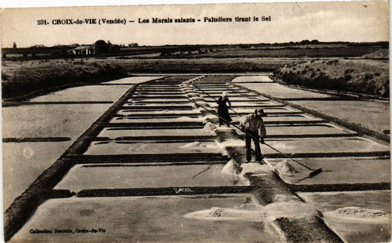 Carte postale ancienne Croix-de-Vie - Les Marais salants - Paludiers tirant le Sel