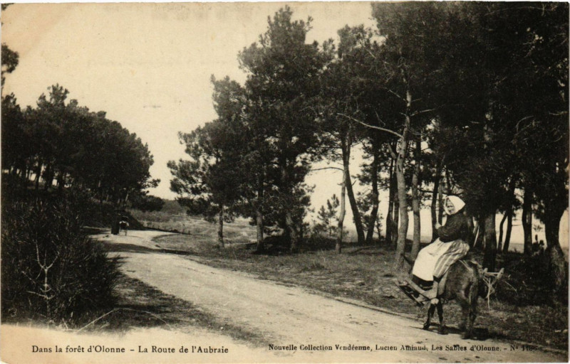 Carte postale ancienne Dans la foret d'Olonne - La Route de l'Aubraie