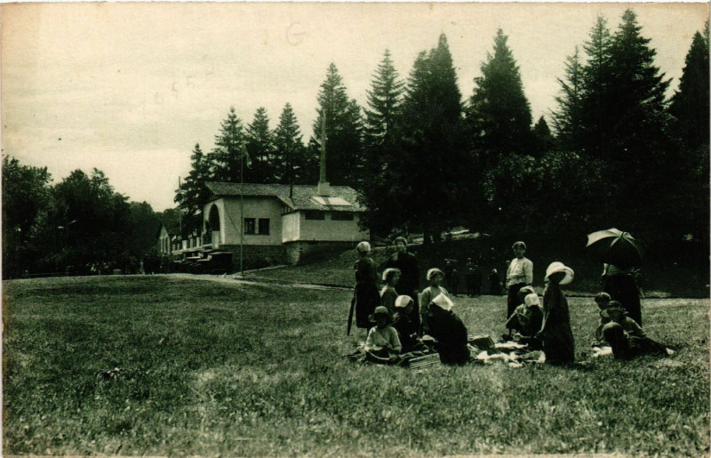 Carte postale ancienne Hostellerie de Pierre-Brune - Foret de Mervent à Mervent
