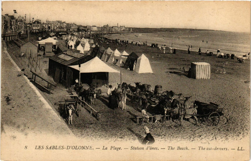 Carte postale ancienne Les Sables d'Olonne La Plage Station d'anes The Beach The... aux Sables-d'Olonne