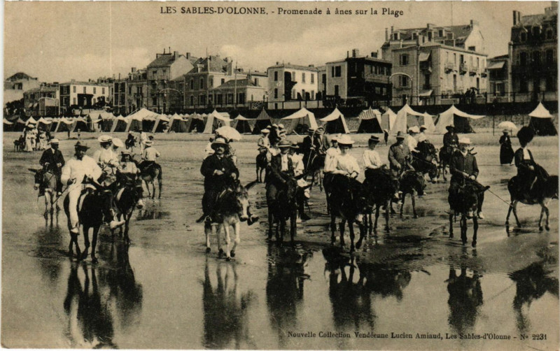 Carte postale ancienne Sables-d'Olonne - Promenade a anes sur la Plage
