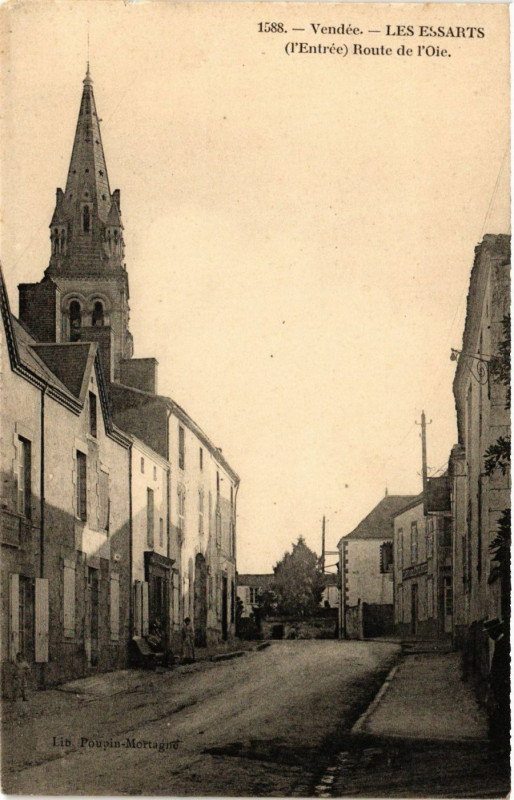 Carte postale ancienne Vendée - Les Essarts - (l'Entrée) - Route de l'Oie