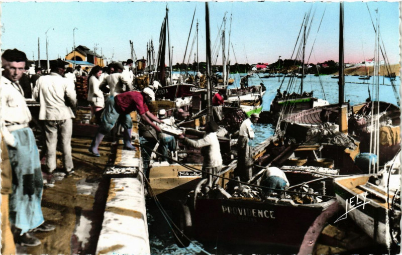 Carte postale ancienne Croix-de-Vie - Arrivée de la Sardine