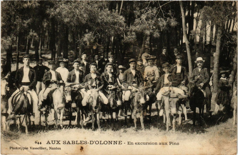 Carte postale ancienne Aux Sables-d'Olonne - En excursion aux Pins