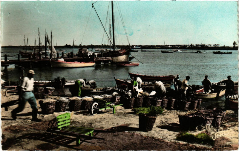Carte postale ancienne L'Aiguillon-sur-Mer - Arrivée des pecheurs de Moules - Le Port à L'Aiguillon-sur-Mer