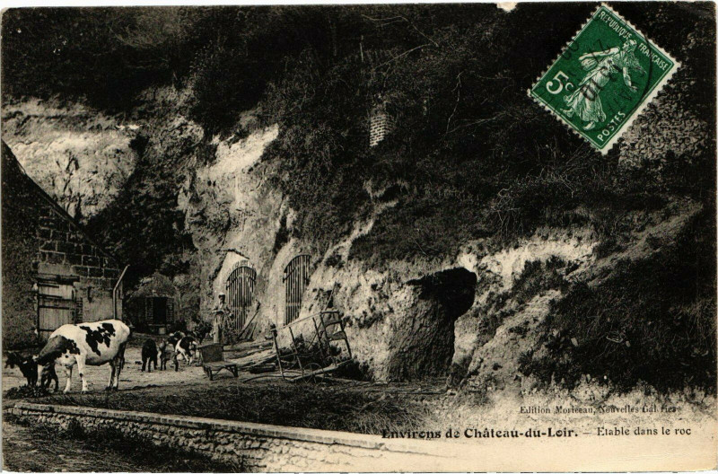Carte postale ancienne Environs de Chateau-du-Loir