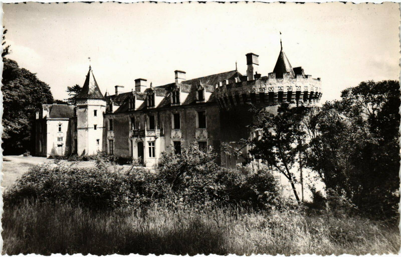 Carte postale ancienne Pont-de-Braye - Chateau de la Flotte