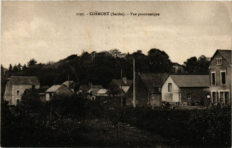 Carte postale ancienne Coemont - Vue panoramique