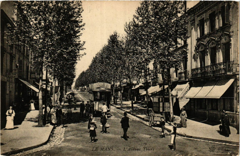Carte postale ancienne Le Mans - L'Avenue Thiers au Mans