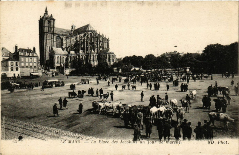 Carte postale ancienne Le Mans - La Place des Jacobins un jour de Marché au Mans