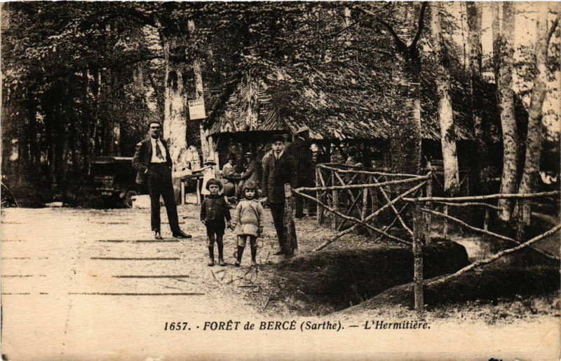 Carte postale ancienne Foret de Berche - L'Hermitiere